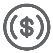 coin icon
